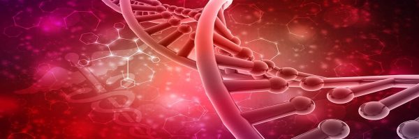 Роль вспомогательной терапии в долгосрочном планировании спортивных циклов