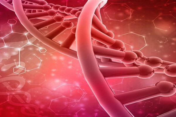 Роль вспомогательной терапии в долгосрочном планировании спортивных циклов